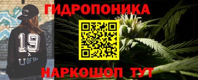 дмт Краснодар
